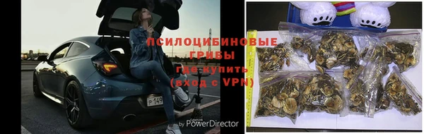 прущие крисы Алексин