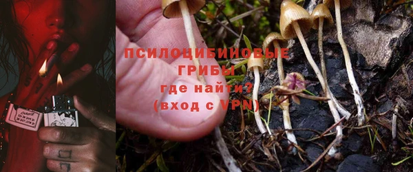 ALPHA-PVP Алексеевка