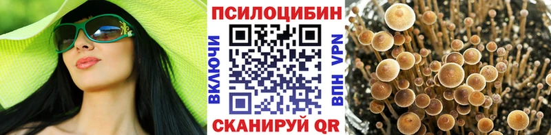 Псилоцибиновые грибы Magic Shrooms  как найти закладки  Красково 